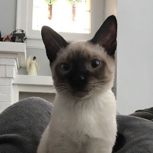 Meet your Posher, Elaine